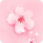 9.1蓝莓视频下载入口
