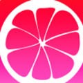 xlive免费版