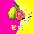 丁香花影院电视剧免费版下载大全