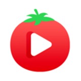 私人播放器APP下载